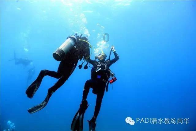 微软期权聚焦：1月24日成交47.08万张，未平仓合约224.64万张
